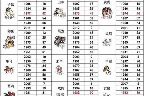 1954年生肖|1954年属什么生肖